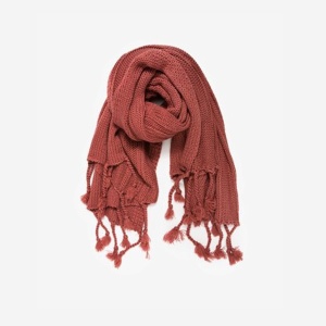 Phasellus posuere eget